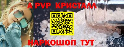 кокс Кингисепп