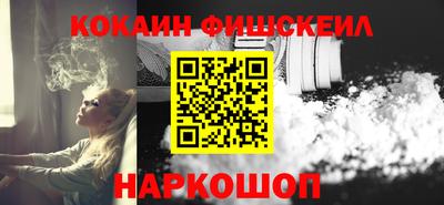 кокс Кингисепп