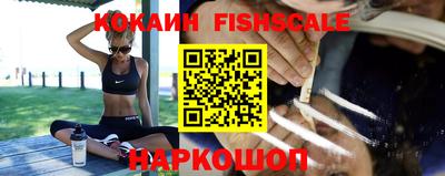 кокс Кингисепп
