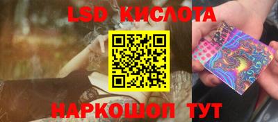кокс Кингисепп