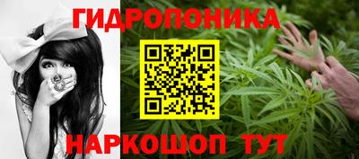 кокс Кингисепп