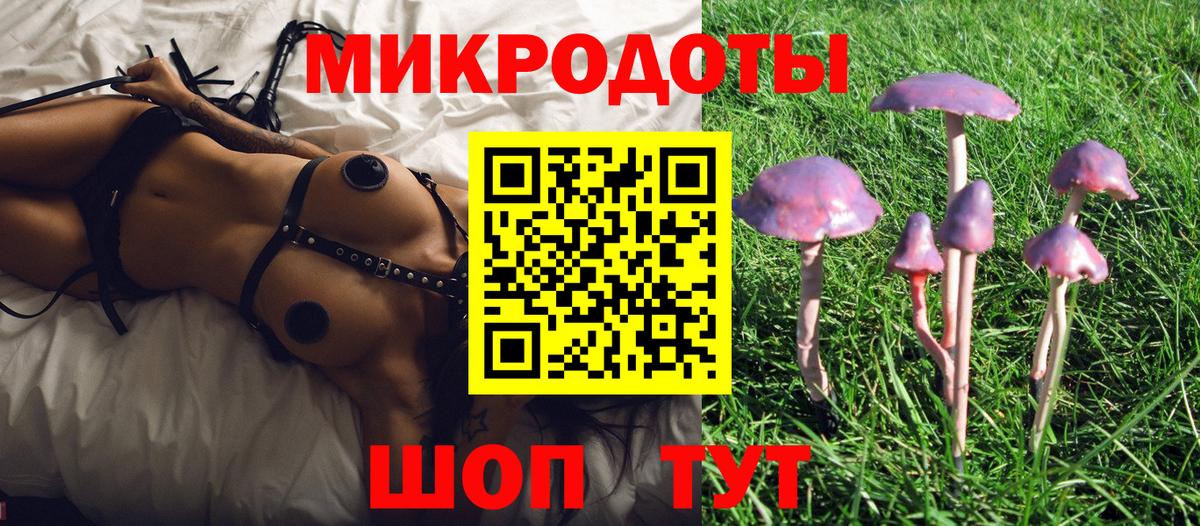 Котлас  Псилоцибиновые грибы ЛСД  продажа наркотиков  Вход с VPN 